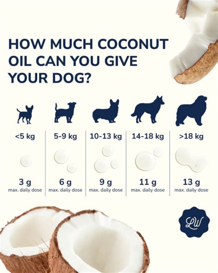 How much coconut oil can I give my dog a day?