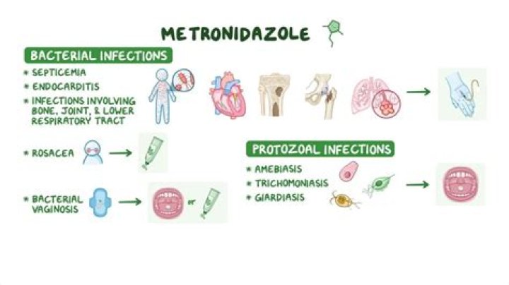How quickly does metronidazole work for Giardia?