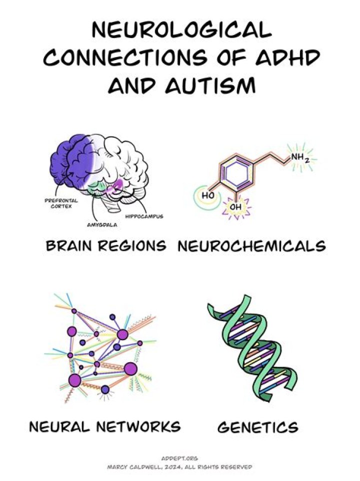 Is ADHD chemical or neurological?