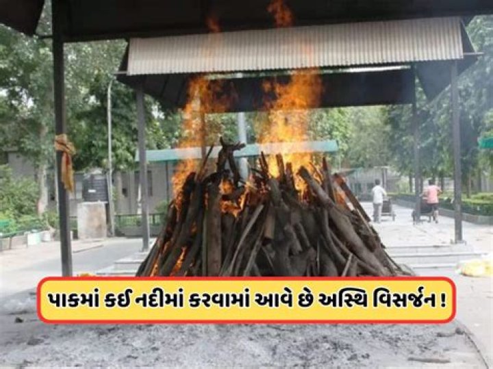 Is cremation expensive?