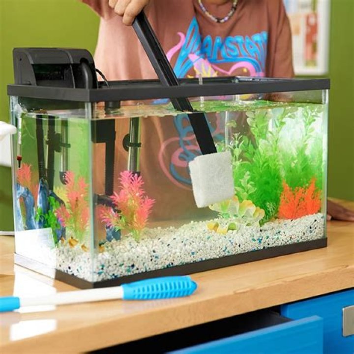 Is it OK to overstock a fish tank?