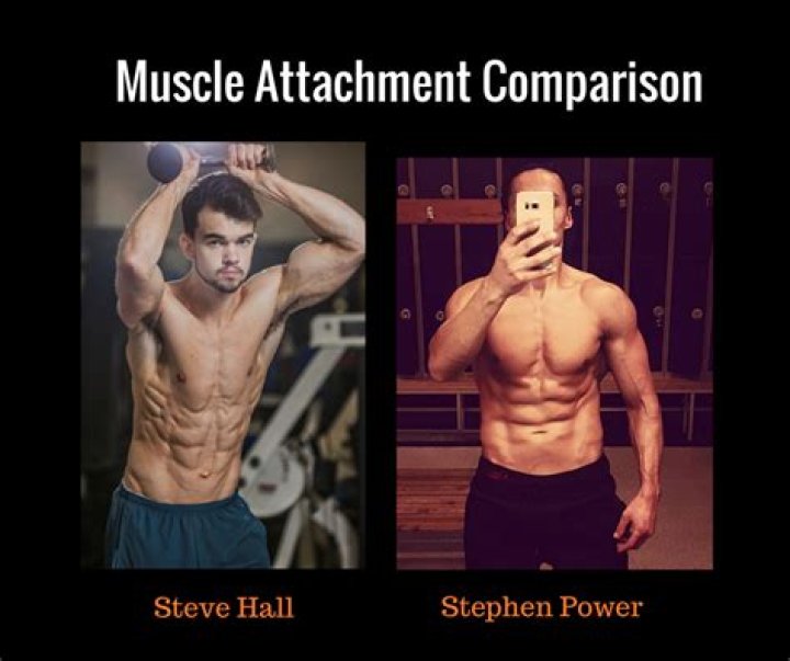 Is muscle mostly genetic?