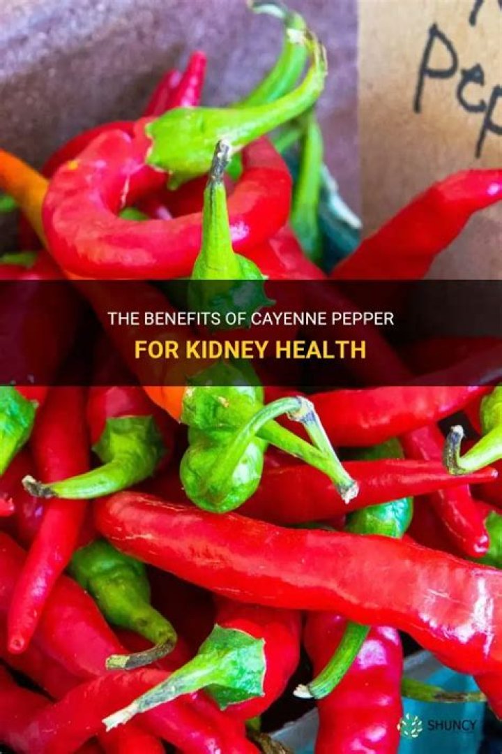 Is pepper good for kidneys?