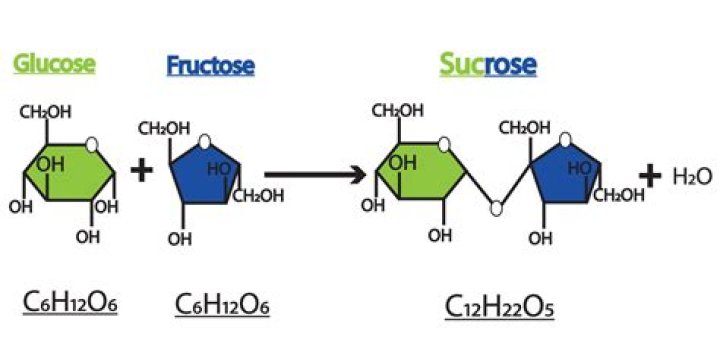Is sucrose any good?