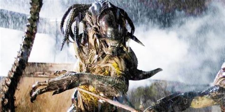 Is the Predator half human?