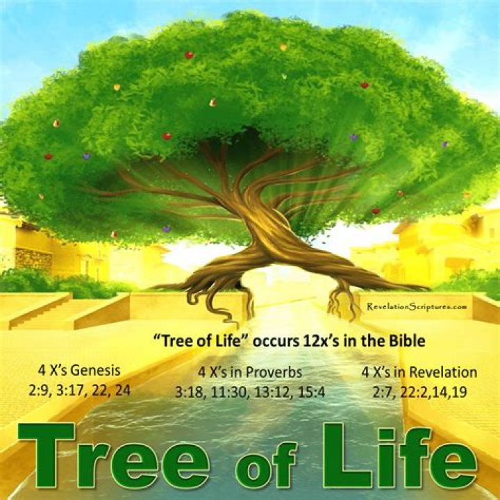 Is the Tree of Life Bible accurate?