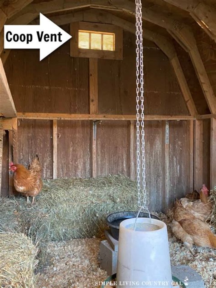 Should I put straw in my chicken coop in winter?