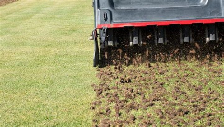 Should you aerate sod?