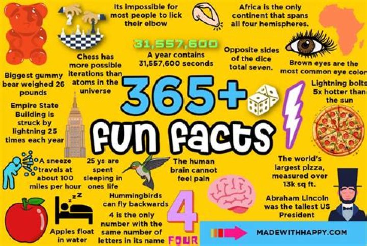 What are 10 crazy facts?