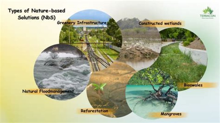 What are Batarians based on?