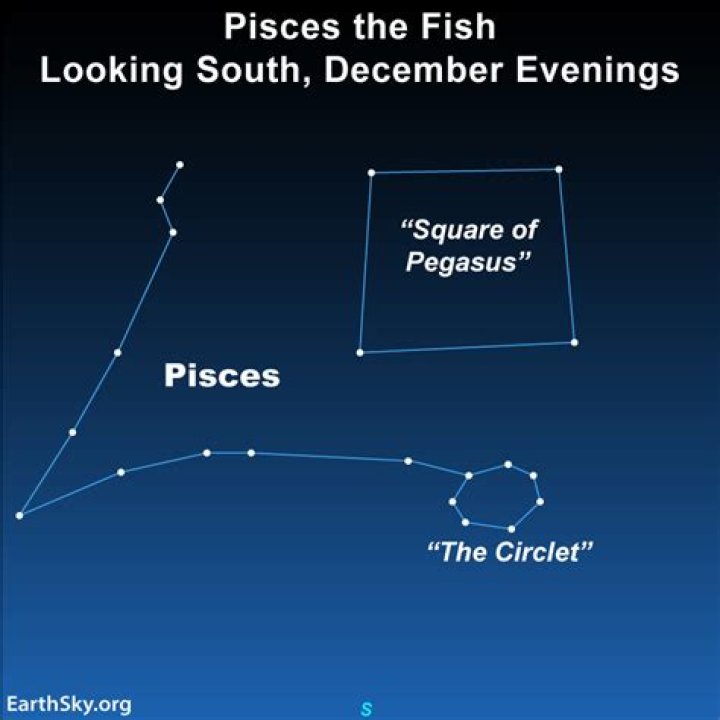 What are Pisces good at doing?