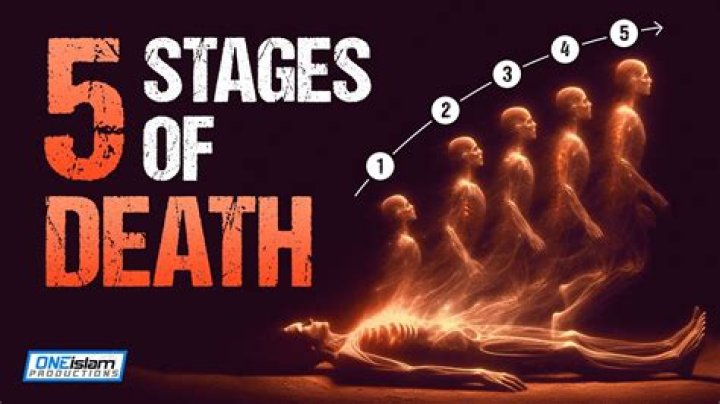 What are the 3 stages of death?