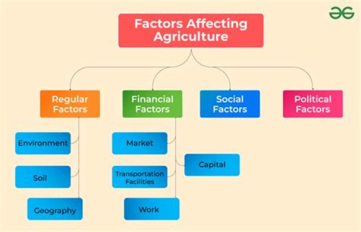 What are the 5 factors affecting sample selection?