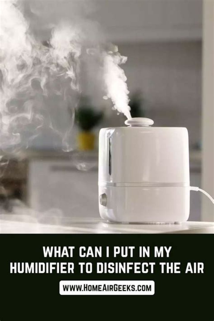What can I put in my humidifier to disinfect the air?