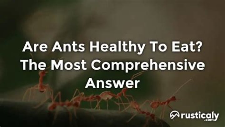 What country eats ants?