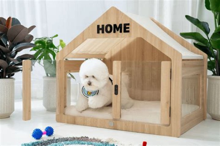 What do you line a dog house with?