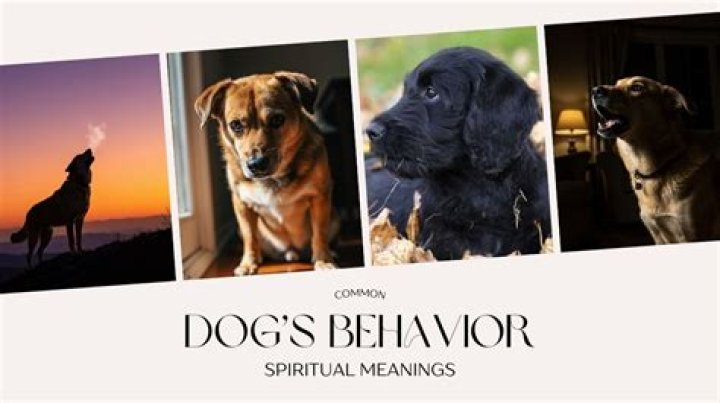 What does a dog barking mean spiritually?