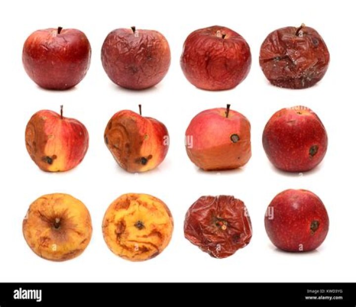 What does a rotten apple look like?