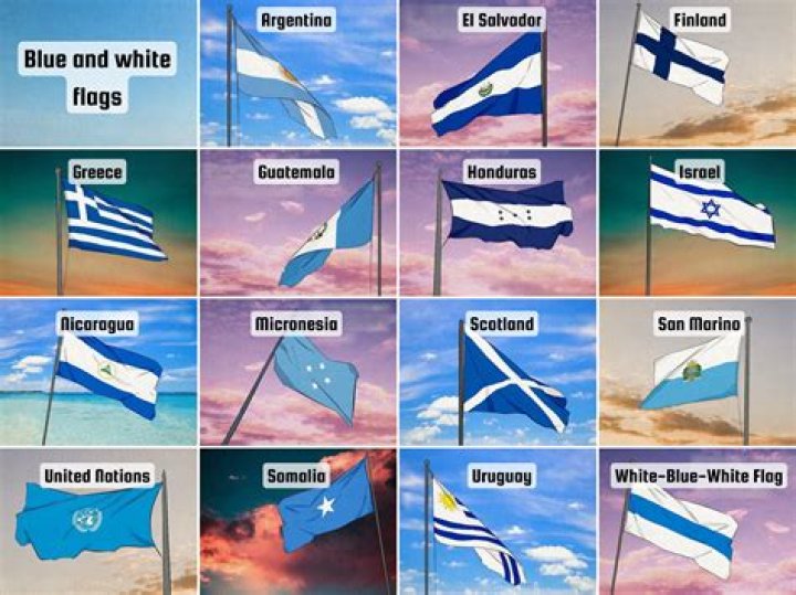 What does a white flag with a blue cross mean?