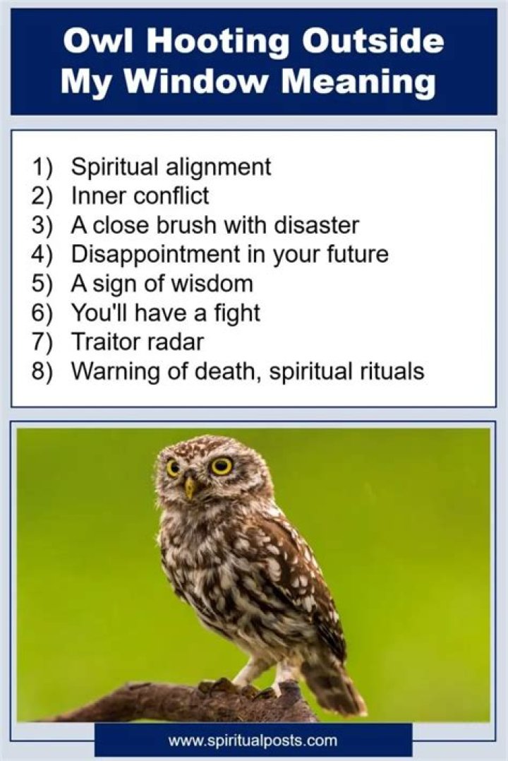 What does an owl outside your window mean?