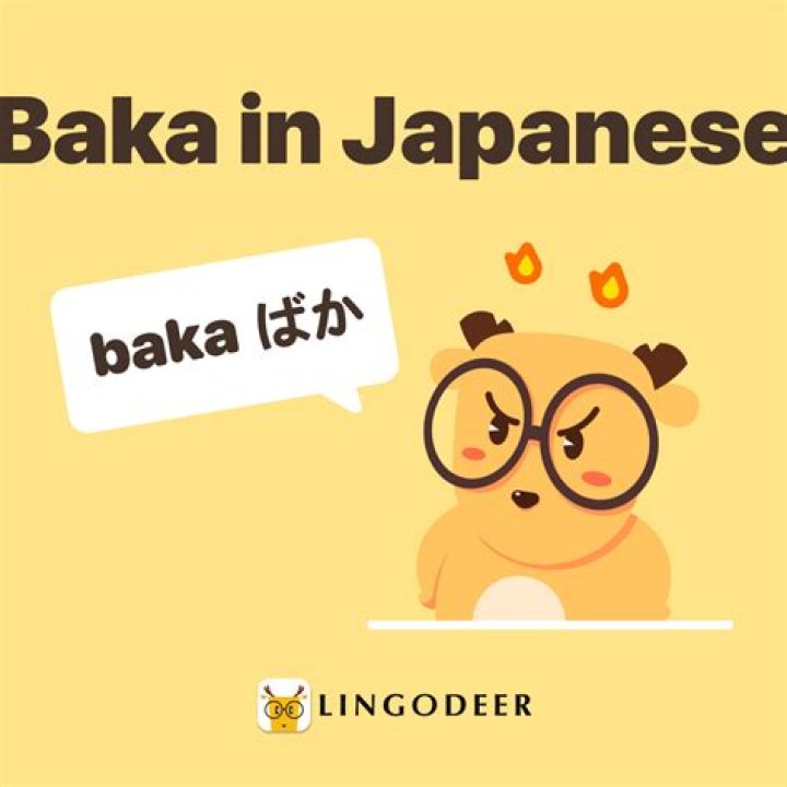 What does baka da yo mean?