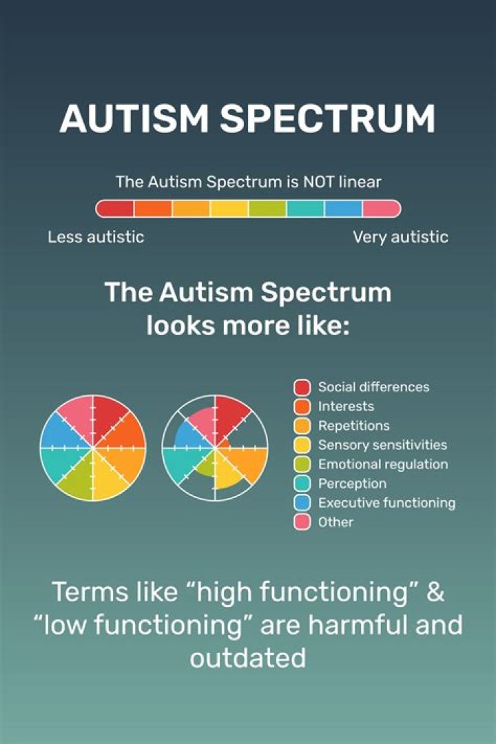 What does it mean for a child to be on the spectrum?
