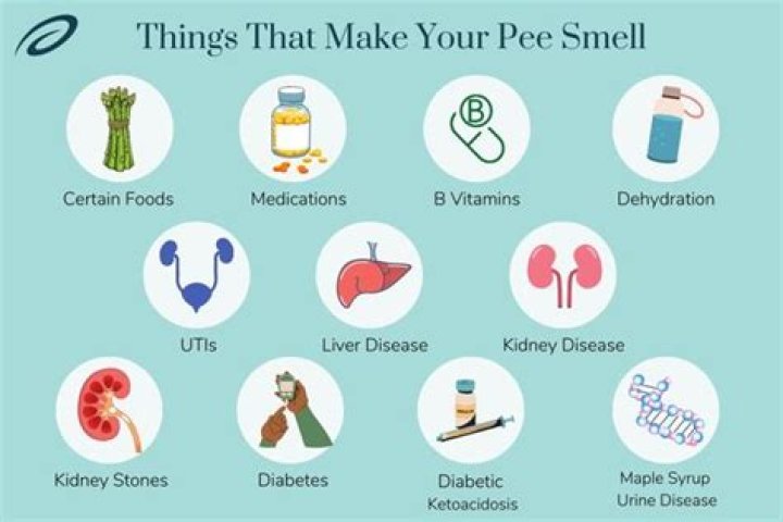 What does pee taste like?