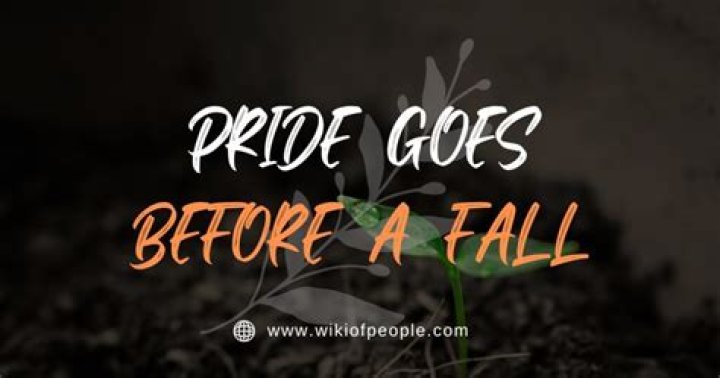 What does pride goes before the fall mean?