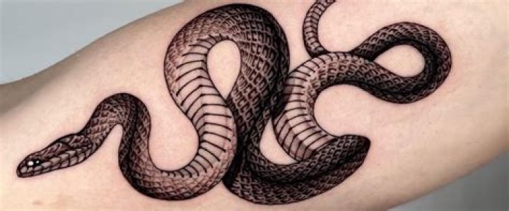 What does snake tattoo mean?