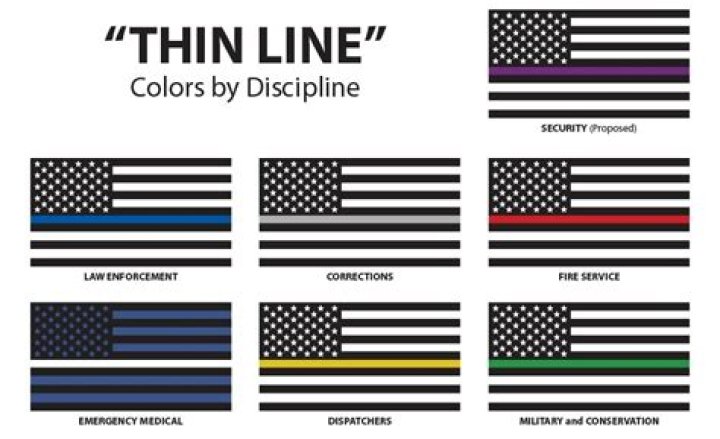 What does thin gold line stand for?