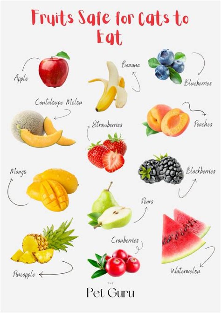 What fruits can cats not eat?