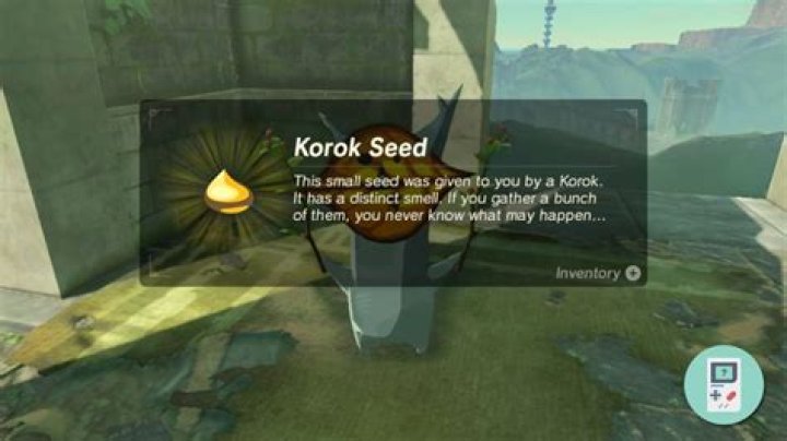What happens when you get all 900 Korok seeds?