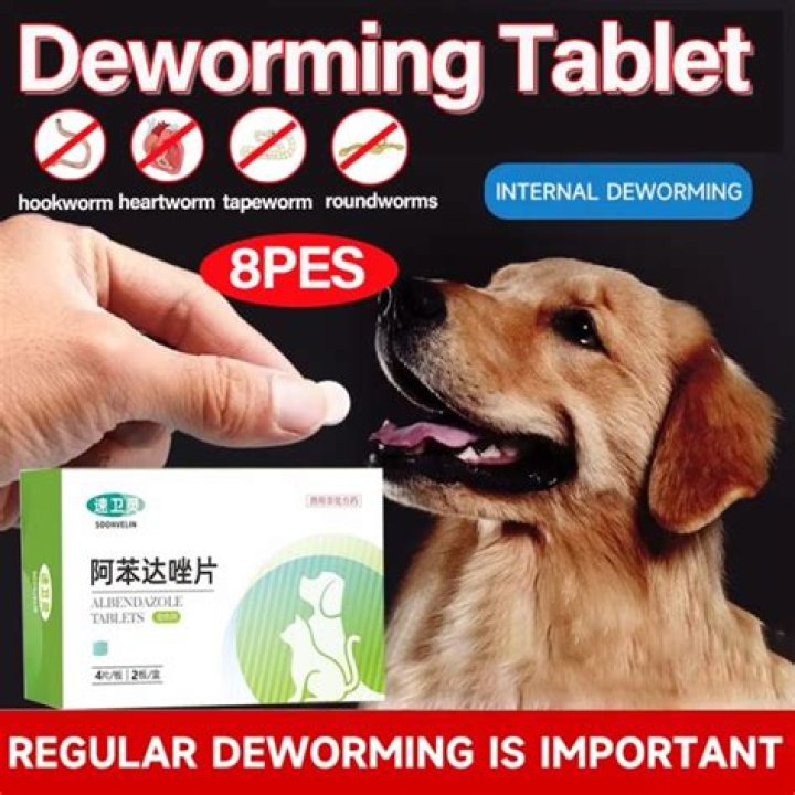 What happens when you take deworming tablets?