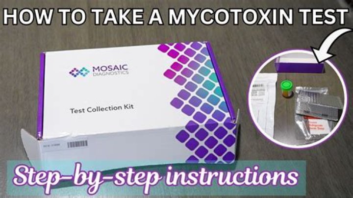 What is a mycotoxin test?