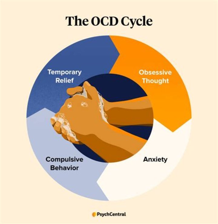 What is an OCD loop?