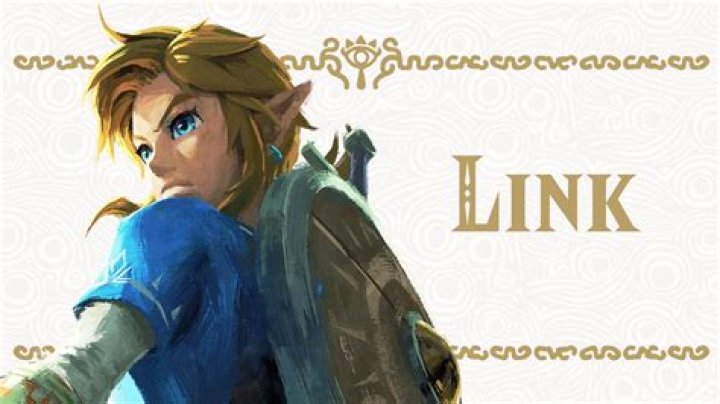 What is Link full name?