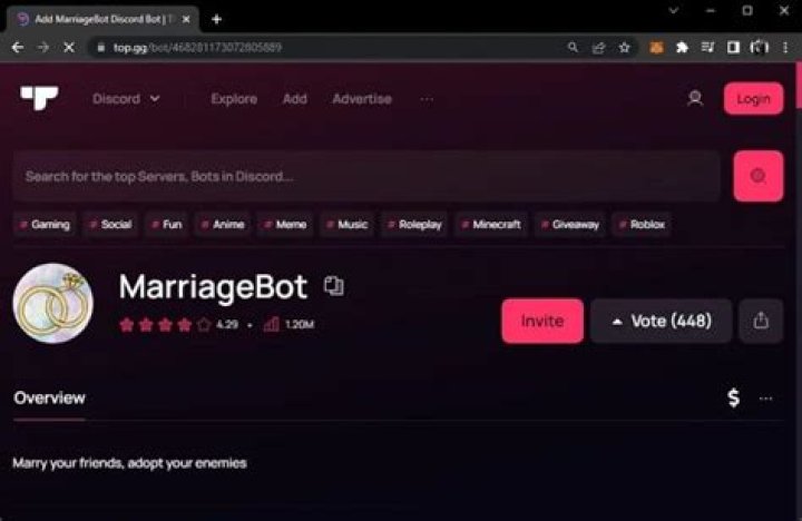 What is marriage bot?