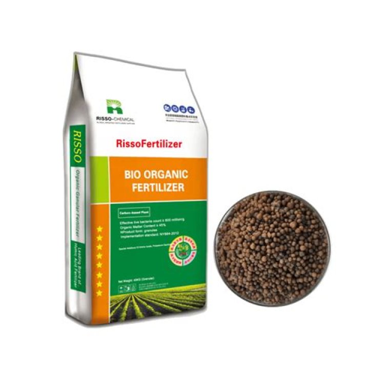 What is the best fertilizer for big buds?