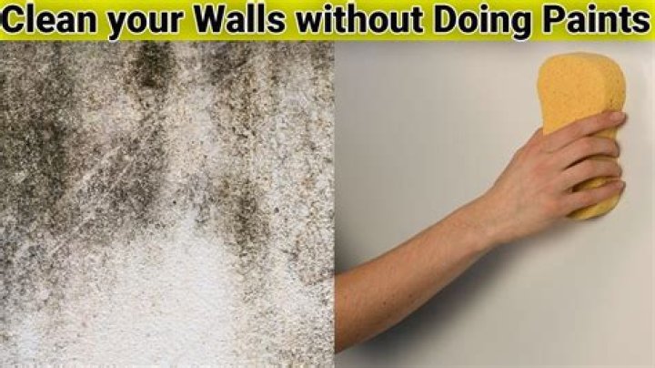 What is the best thing to use to clean walls?