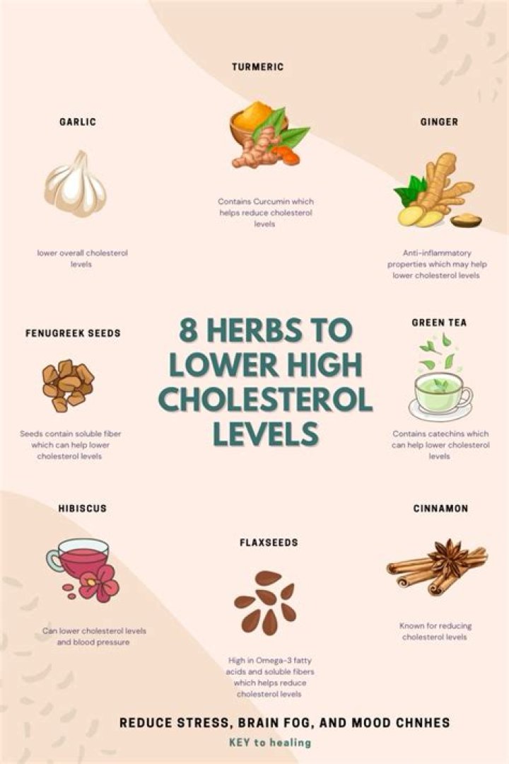 What is the fastest way to lower cholesterol without medication?