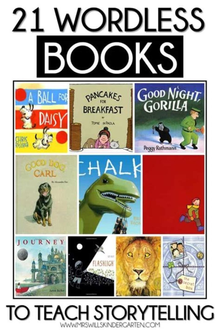 What is the meaning of wordless book?