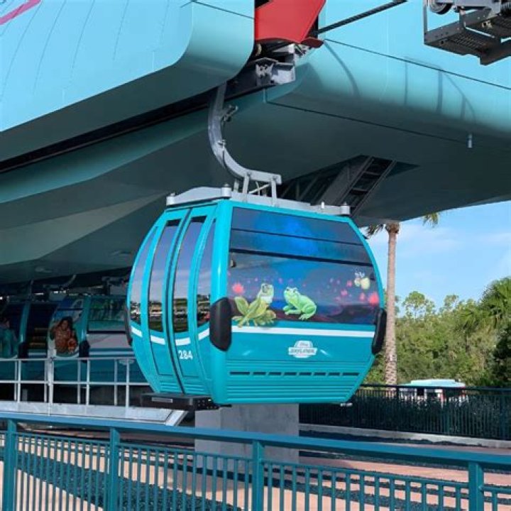What is the weight limit for the Disney Skyliner?
