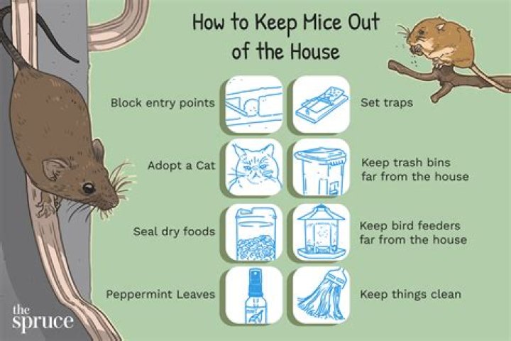 What keeps mice out of your house?