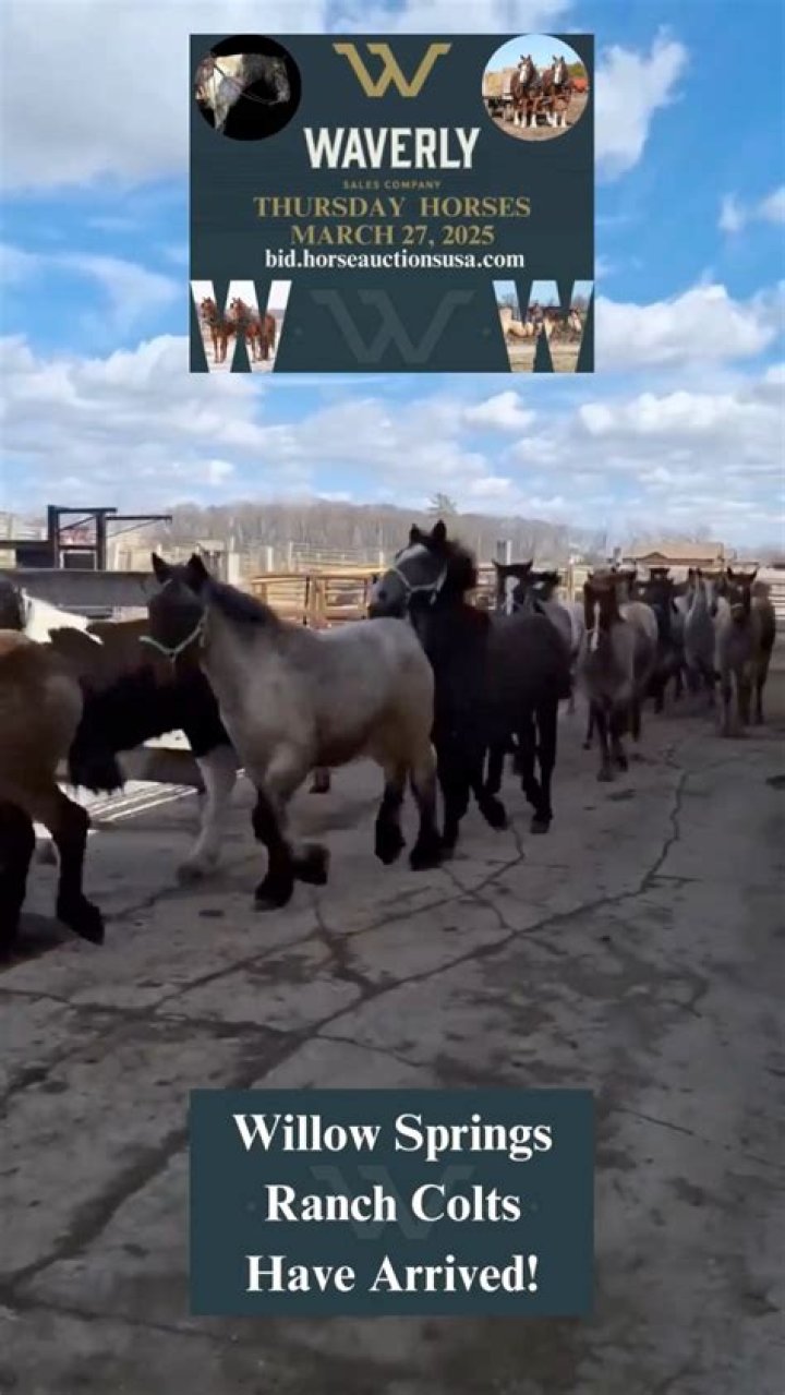 What old trend is coming back these days?