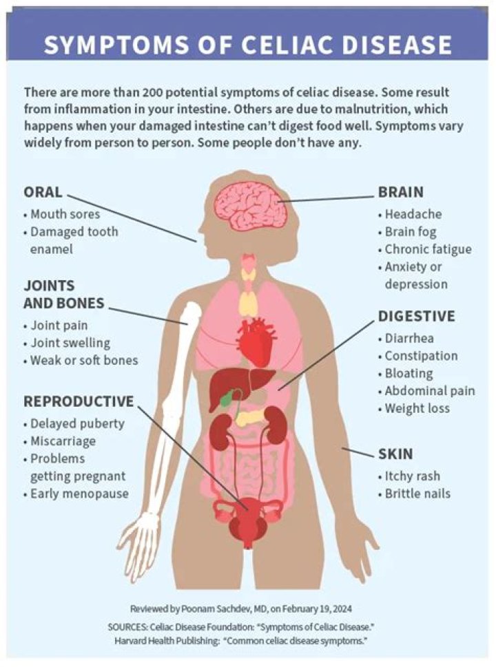 What part of the body does celiac disease affect?
