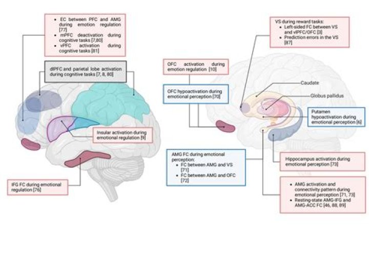 What parts of the brain does bipolar disorder affect?