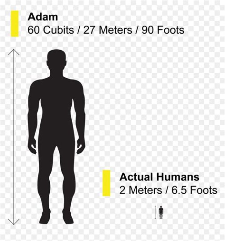 What was the height of Adam?