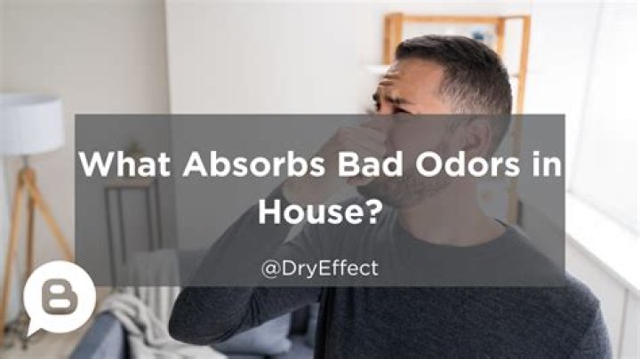 What will absorb odors in a room?