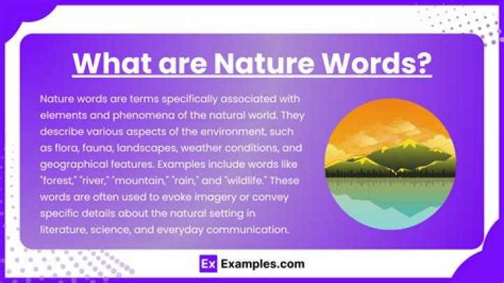 What word means to draw attention to?