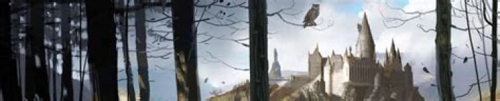 When did Harry fall in love with Ginny?